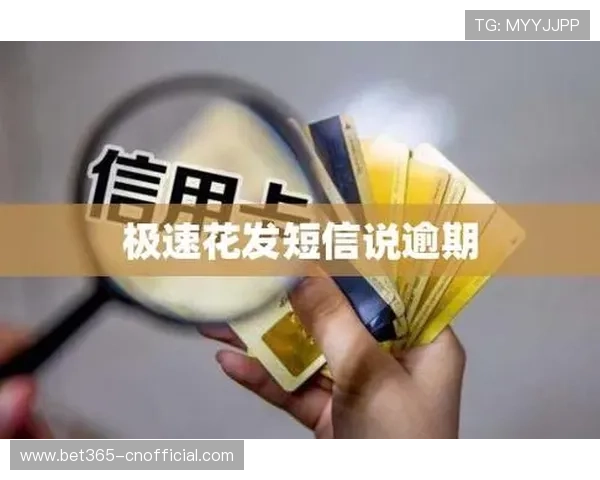 开云体育平台官网的客服支持体系，及时解决用户在使用中遇到的各种问题