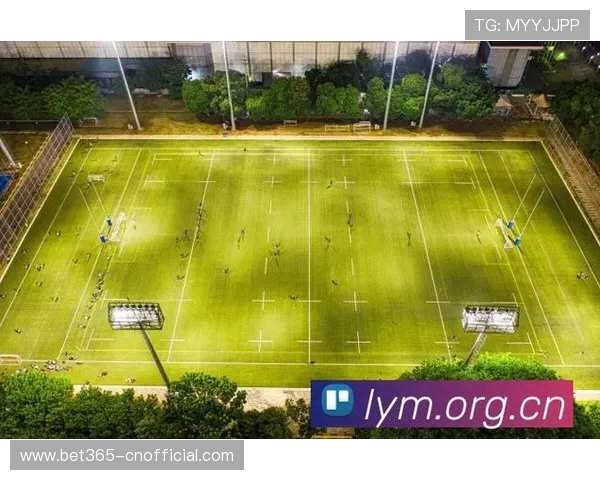 365日博足球官网多元赛事直播,实时观看与互动投注享受极致体验 365日博足球官网多元赛事直播,实时观看与互动投注享受极致体验