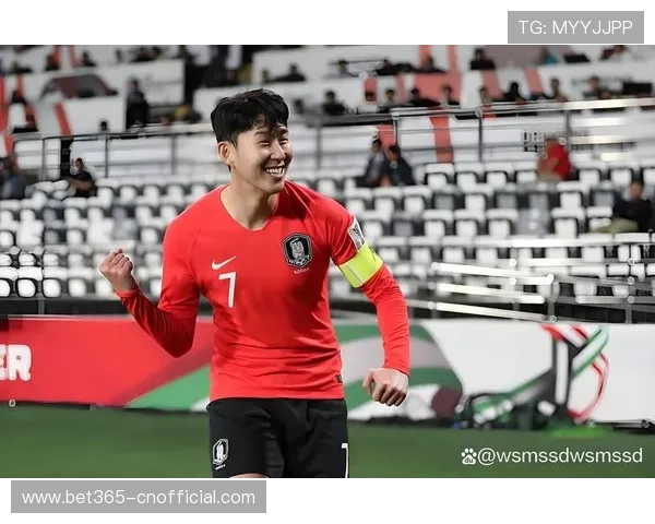 南非韩国世界杯比赛精彩进球视频全场回放与战术分析